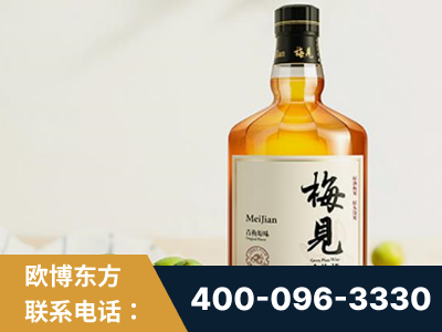 三门峡-梅见青梅酒